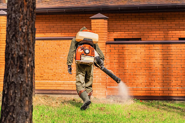 Trusted Cockroach Control service in Stafford, TX - Nex Pest Control